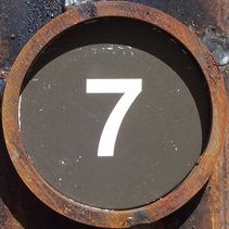number 7[9]